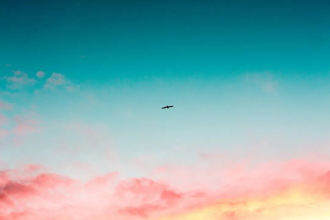 私立学校工资（说说私立学校教师收入）