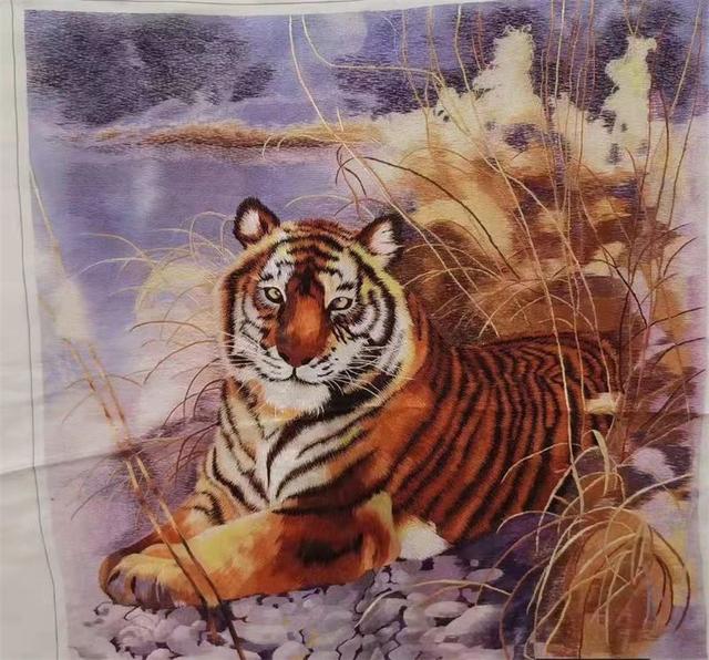 2022年虎是什么命年-水虎年金箔金命，寻找香格里拉“虎”元素