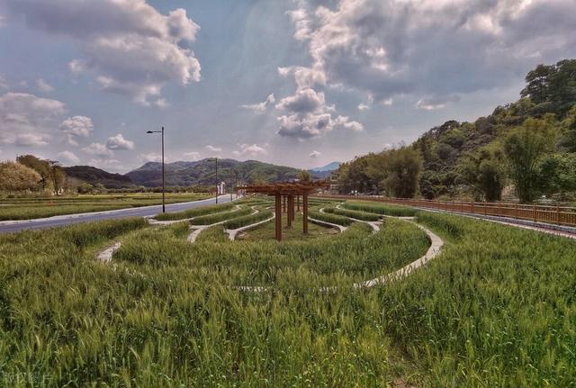 从化旅游景点大全，从化一日游旅游攻略大全（打卡吕田鹰嘴桃花+罗洞工匠小镇麦浪+莲麻小镇）