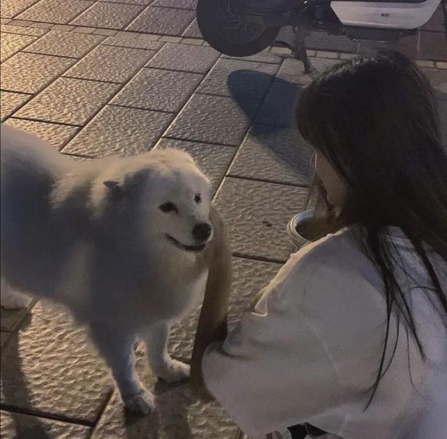 猫系女孩，微信头像，猫系女孩（女生头像：抱猫头像）