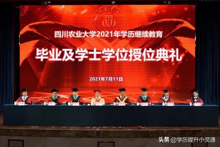 农业大学远程教育（2022春四川农业大学网教有哪些专业可以报）