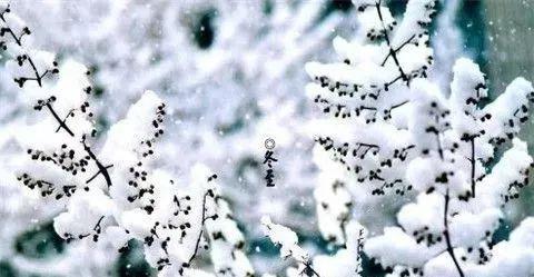 冬至的图片大全，冬至的美景图片（非常漂亮的冬至祝福表情包图片带字）