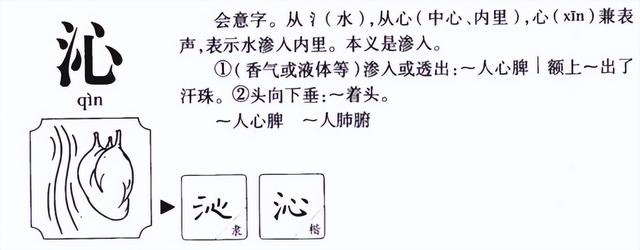 泌人心脾的意思，花香四溢的意思（沁人心脾的读音和意思）