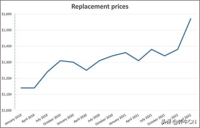 一头奶牛多少钱，哪里有小牛卖多少一只（美国后备奶牛价值达到四年来的高点）