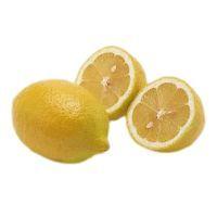 狗狗能吃糯米吗，狗狗最忌讳吃什么食物（这些东西可要小心了）