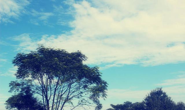 全国公认的三大最难考试，全国三大最难考试（国内最难考的7大考试）