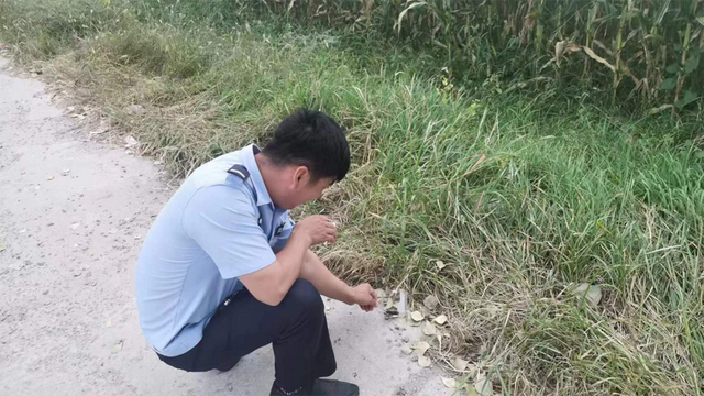 老鼠长什么样子，老鼠长什么样子(文字)（每分钟心脏能跳1200下）