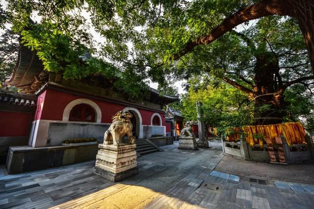 北京风景优美的地方，北京十大最值得去的景点（古寺寻幽、山林品茶）
