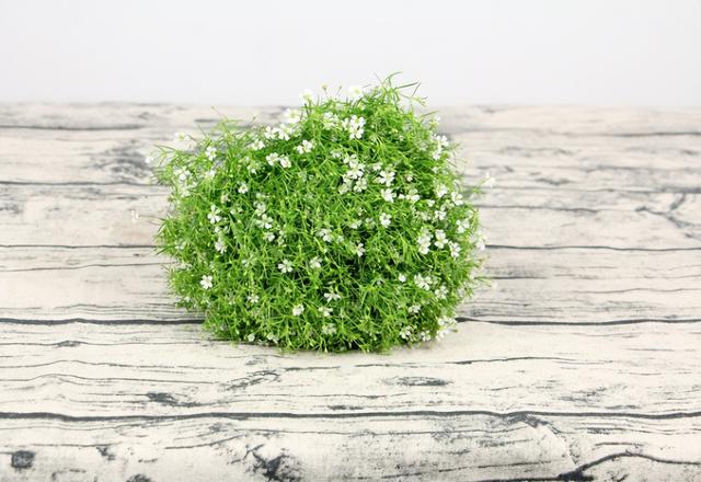 云南干花怎么养，云南干花叫什么名字（干花满天星枯萎）