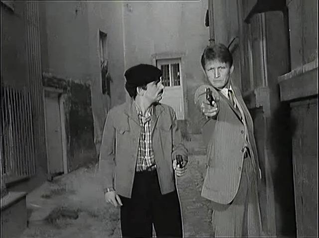 米莱的扮演者是谁，米莱 扮演者（《黑名单上的人》当年万人空巷）