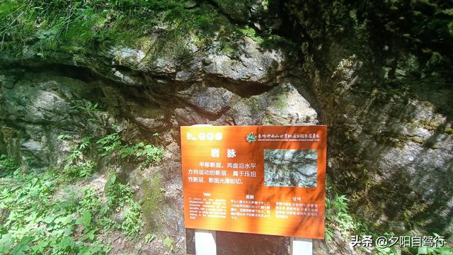 朱雀森林公园旅游攻略一日游，大山深处的朱雀国家森林公园