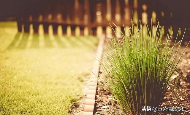 男人没放下前妻的表现，没放下前妻的表现（男人能忍多久不联系前妻）
