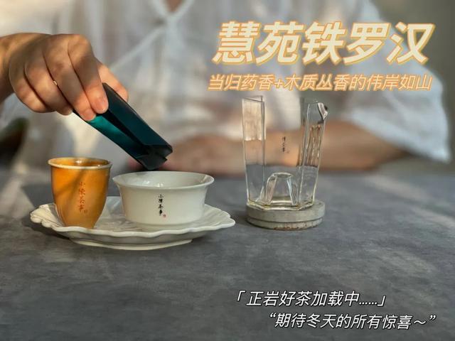 铁罗汉是什么茶，铁罗汉茶属于什么茶（不识慧苑老丛铁罗汉）