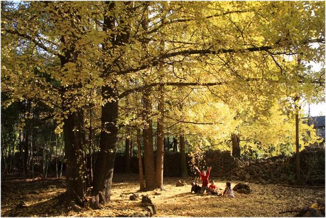 昆明市有哪些4A风景区，昆明5a景区有几个（云南16家景区拟获批“国家4A级”）