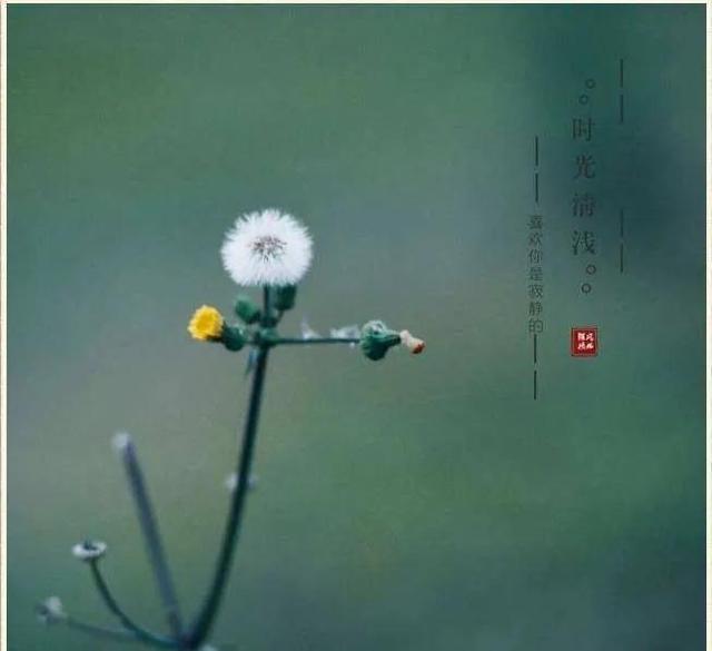 美好时光的唯美短句，很暖很治愈的短句（20个静享时光岁月的极简句子）