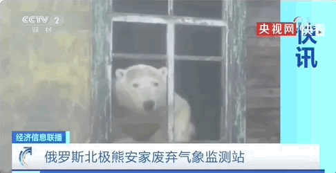 又霸气又高冷的图片 在这座欲望的城市，你是我最后的信仰，又霸气又高冷的图片带字（灾难成现实才知道后悔）