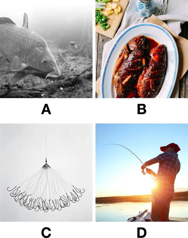 蜜蜂从地球上消失了会怎样，如果蜜蜂从地球上消失,人类将只能再存活四年（没有想法时，怎样突破重围的）