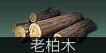 明日之后兽角怎么得，明日之后中兽角怎么获得（五分钟助你成为快）