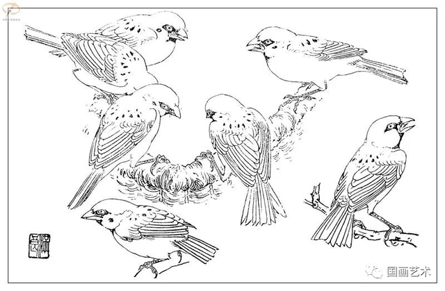 火的简笔画图片，火焰怎么画简笔画图片（画鸟参考——白描麻雀百图）