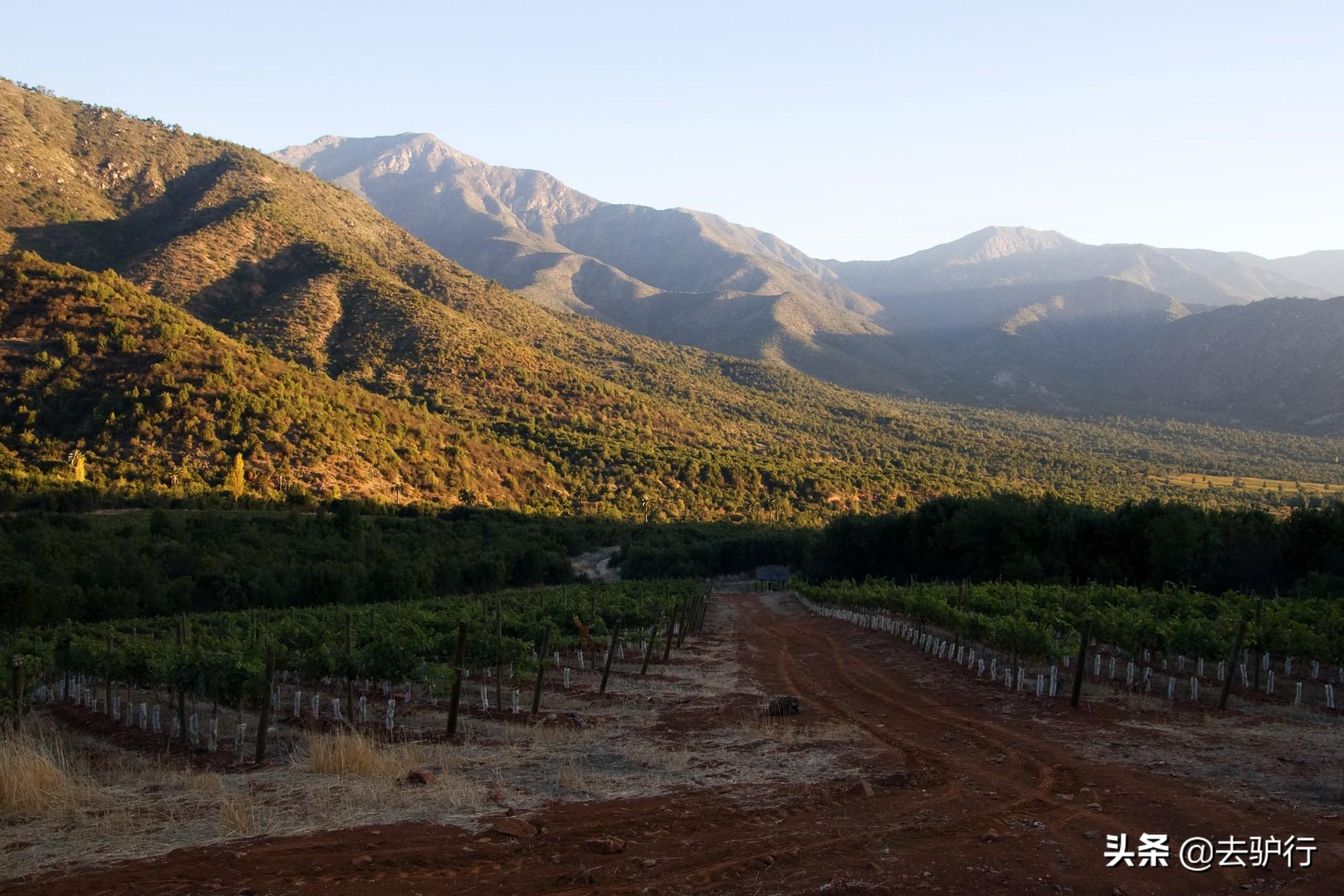 智利在哪个地方，智利是什么地方（智利真是个“宝藏”国家）