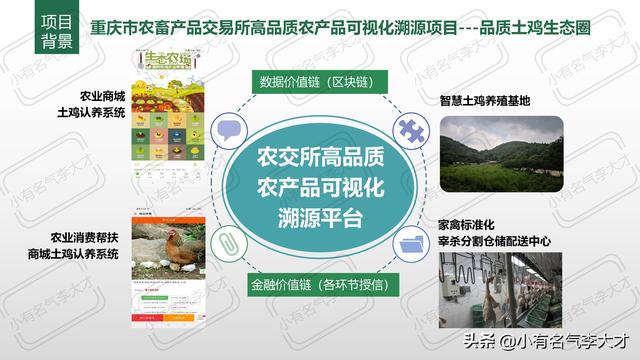 农业产品推广方案，农业品牌综合创建及营销策划方案