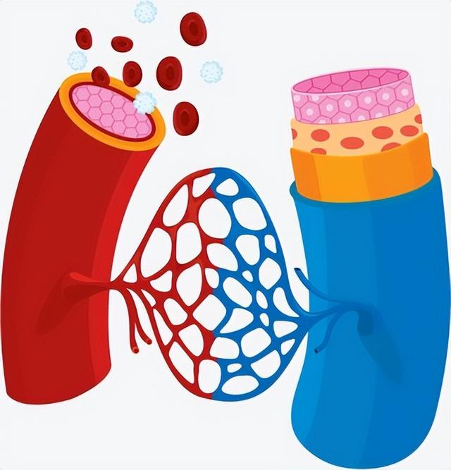 但是,我们在观察皮肤表面的时候,会看到一些静脉血管呈现出的并非是