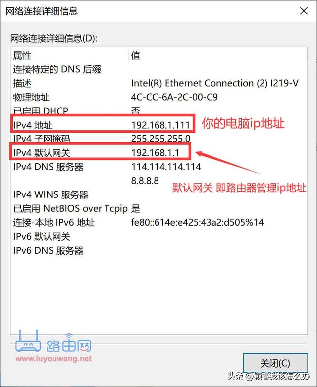 网站的ip地址怎么查看，如何查看某网站服务器的IP地址（怎么查看自己电脑ip地址）