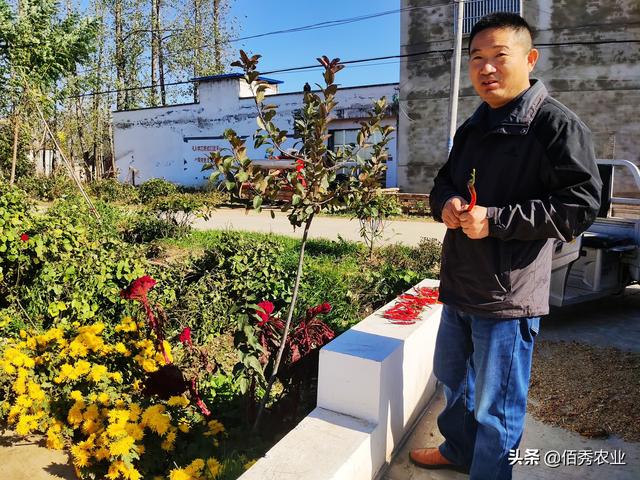 猪价年底会涨价吗，贺州市今日生猪价格多少钱（这次猪头大涨的原因是什么）