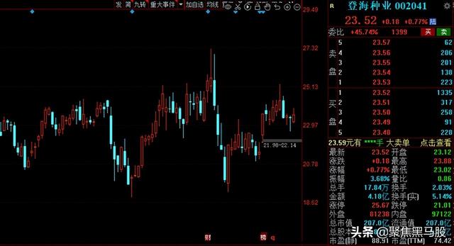 粮食股票有哪些（资金抢筹+绩优农业股出炉）