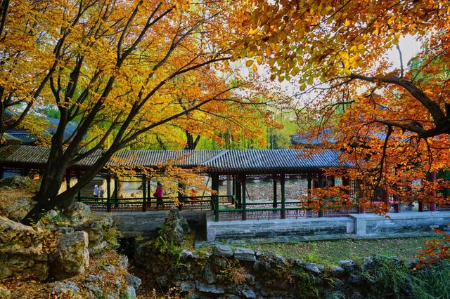 10种代表秋天的景物，秋天的景色有哪些（这10个小众绝美的秋景地）
