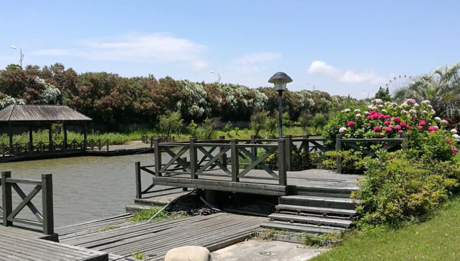农业投资项目(特色农业种植项目介绍)