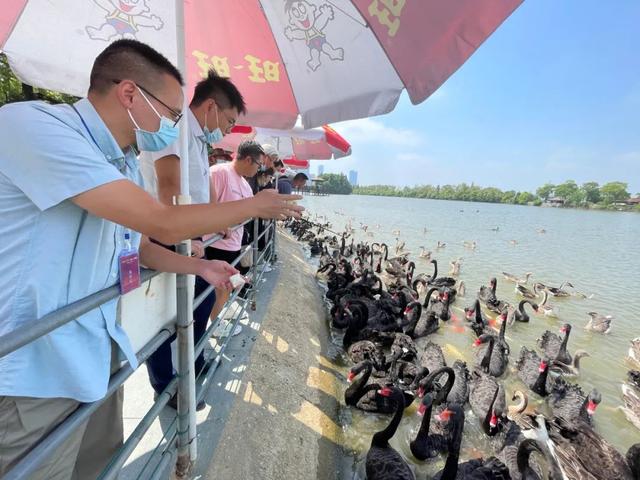 南昌附近一日游必去景点，南昌一日游必去景点推荐（他们都来了......）