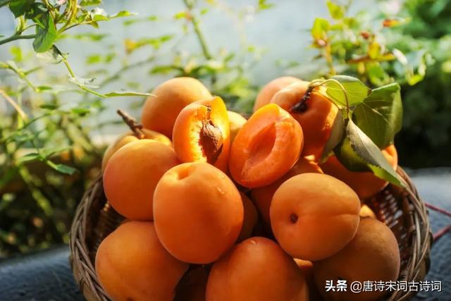 争渡争渡惊起一滩鸥鹭的原文，争渡争渡惊起一滩鸥鹭出自（初夏胜春时）