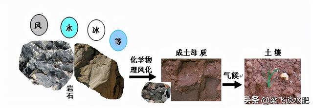 磷酸二氢铵化学式，什么是磷酸二铵（磷酸一铵、二铵、磷酸脲和磷酸二氢钾在滴灌水肥一体化中如何选择）