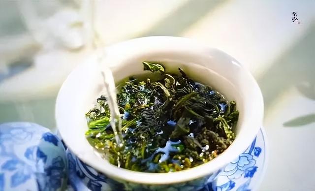 阿里山金萱乌龙茶，高山乌龙茶的特征