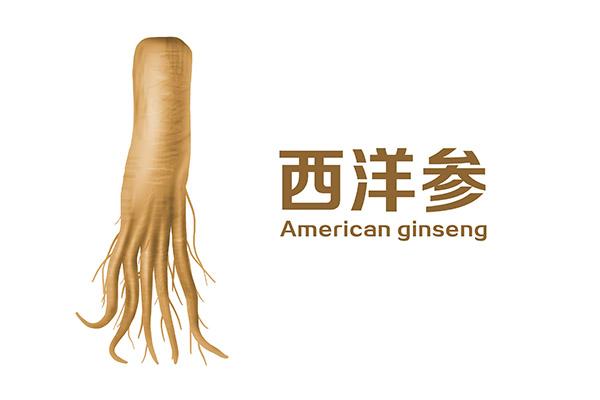 黄芪和北芪有什么区别，黄芪的用途和功效（黄芪、西洋参都能补气）