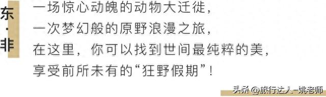 让威尔·史密斯兴奋不已的探险之旅！与万物为邻，见证一场狂欢