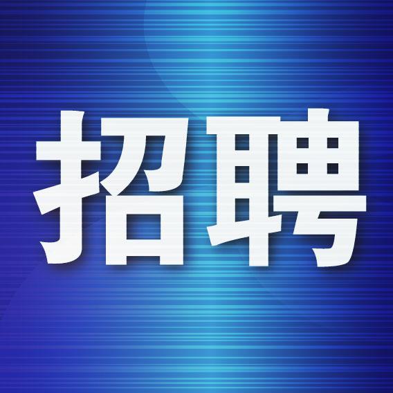 大连人才中心电话（节后第一天探访大连市人力资源市场）