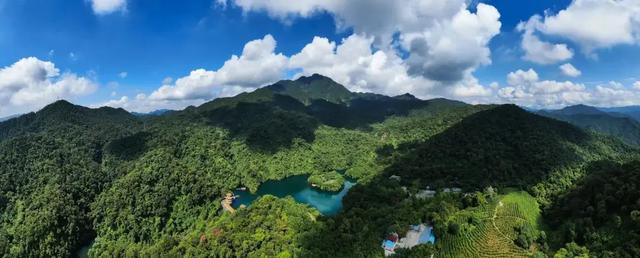 广州出发-肇庆1天游,打卡鼎湖山景区+砚阳湖天空之境