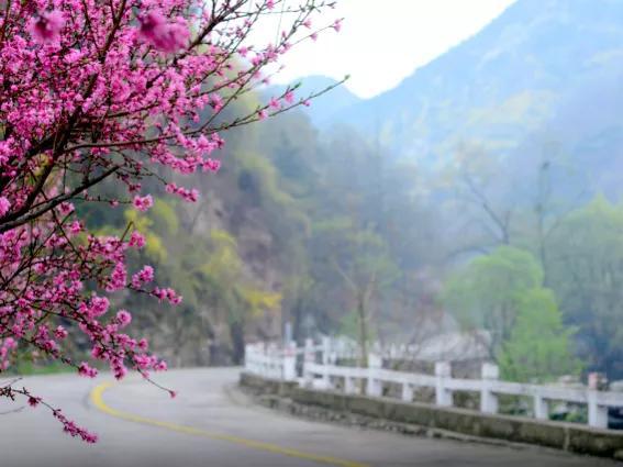 泰山好玩吗，泰山旅游攻略（此生不老，必去泰山）