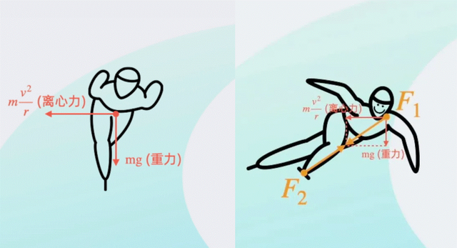 短道速滑的时速是多少，短道速滑的时速是多少米（时速高达50公里）