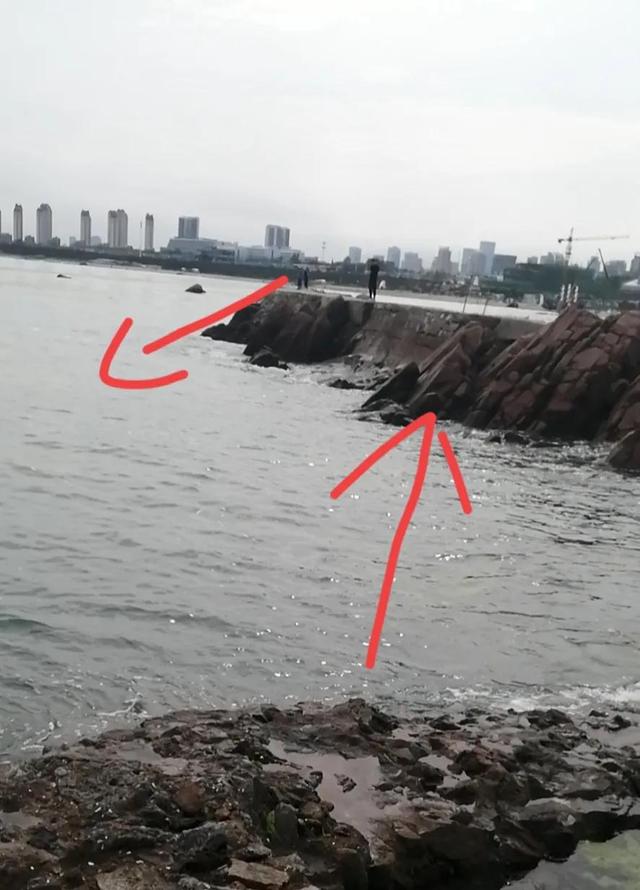 路亚是什么意思，钓鱼为什么叫路亚（岸边路亚怎样找鱼）