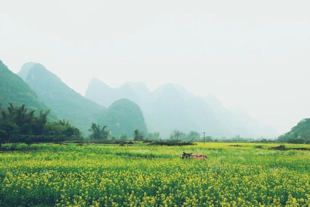 田园诗有哪些，9首必读山水田园诗
