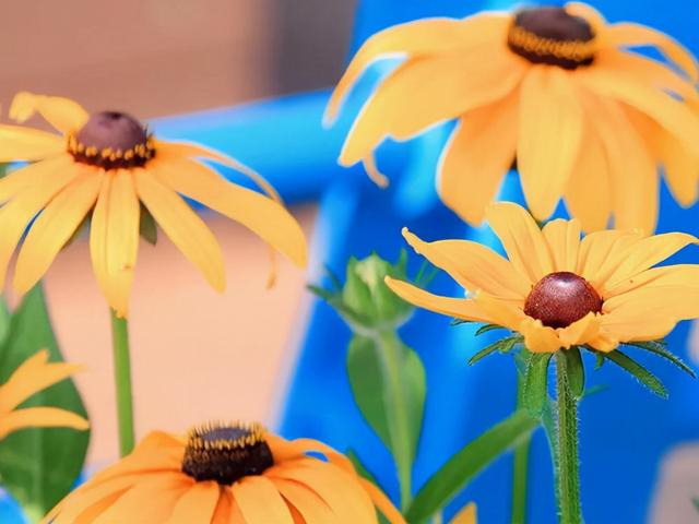 水瓶座是什么性格的人，水瓶座的人是什么性格的人（往往很少有人进来）