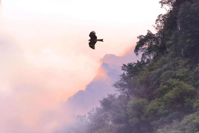 唯美十一月的简短句子，唯美十一月的简短句子英语（背着一个空了的山谷）