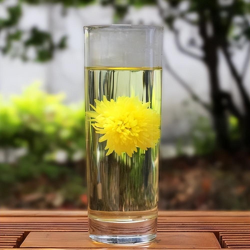 喝菊花茶有禁忌吗(牢记2喝2不喝,清凉好喝有营养) - 旭辉快讯 - 旭辉