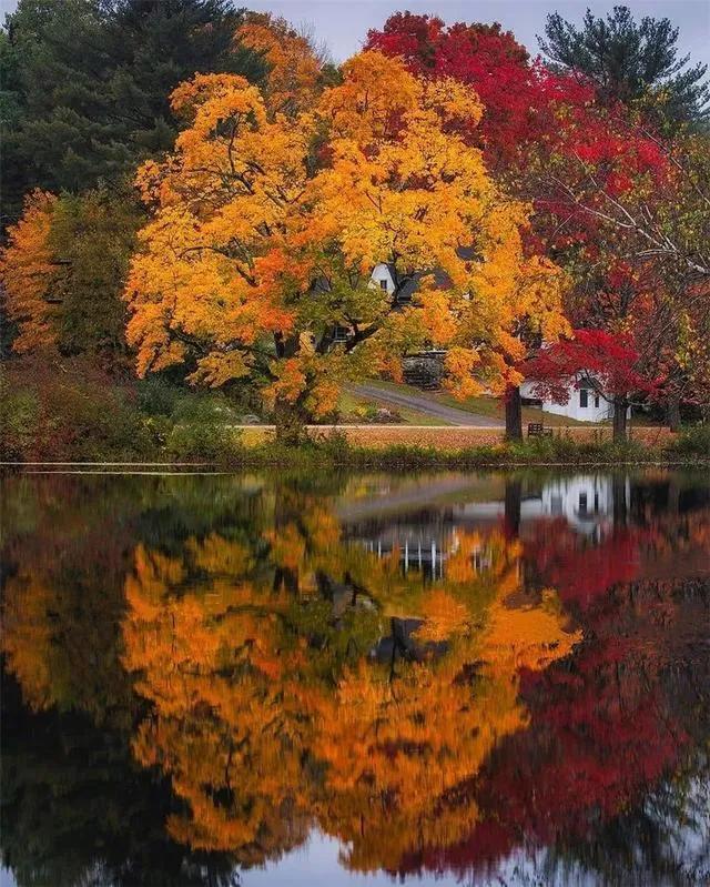 秋天是一个什么样的季节，秋天是一个什么样的季节写一段话（分享绝美秋色：叠翠流金）