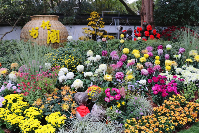 菊花有哪几种颜色，菊花的颜色（菊花的颜色是深还是浅）