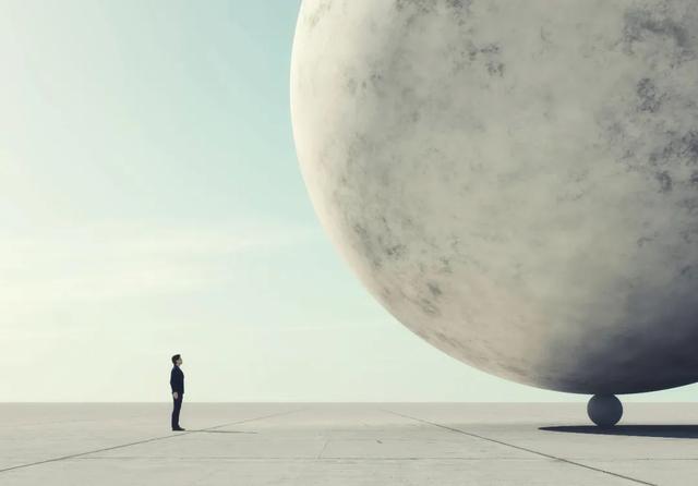 蜘蛛结网的原因，你知道蜘蛛为什么结网吗（吴晓波：一只蜘蛛一生织几张网）