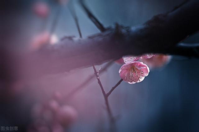 如何应对金牛座男的追求，如何应对金牛座男的追求者（当金牛座突然产生爱意）